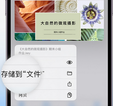 来安apple维修中心分享iPhone文件应用中存储和找到下载文件