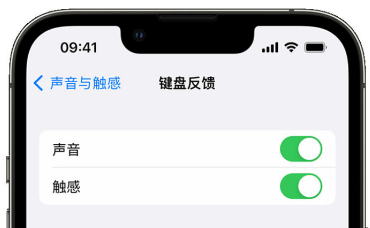 来安苹果手机维修分享iPhone 14触感键盘使用方法 