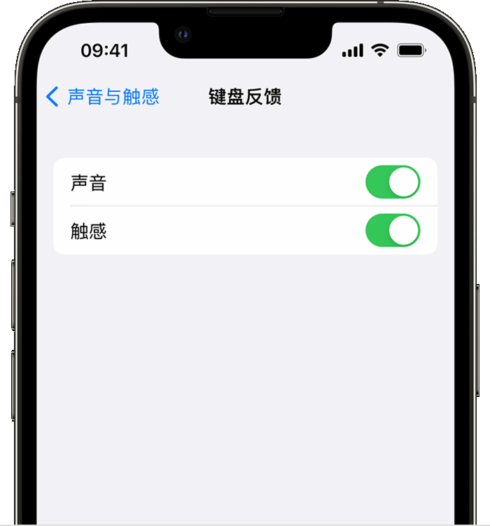 来安苹果14维修店分享如何在 iPhone 14 机型中使用触感键盘 