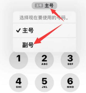 来安苹果14维修店分享iPhone 14 Pro Max使用副卡打电话的方法 