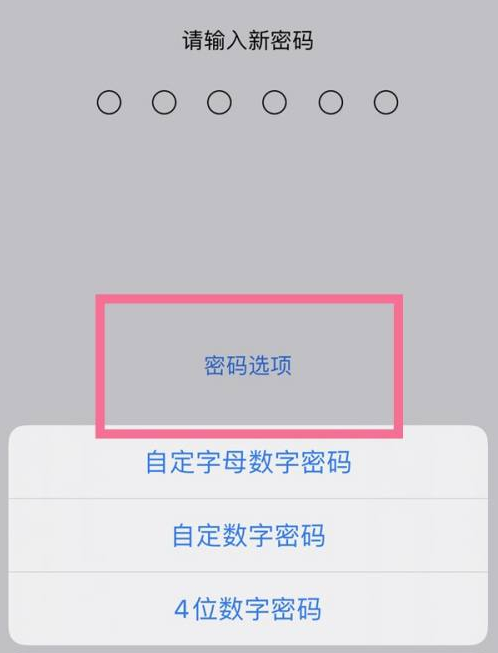 来安苹果14维修分享iPhone 14plus设置密码的方法 