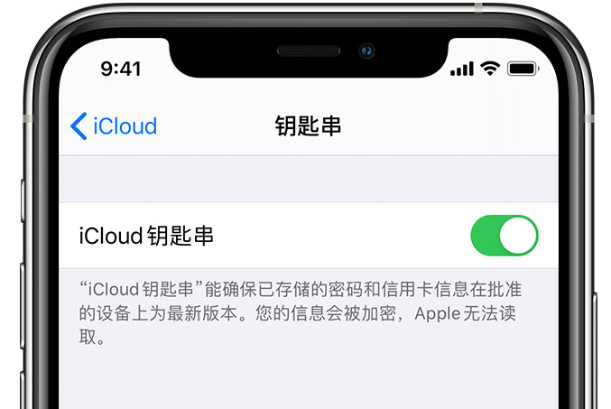 来安苹果手机维修分享在 iPhone 上开启 iCloud 钥匙串之后会储存哪些信息 